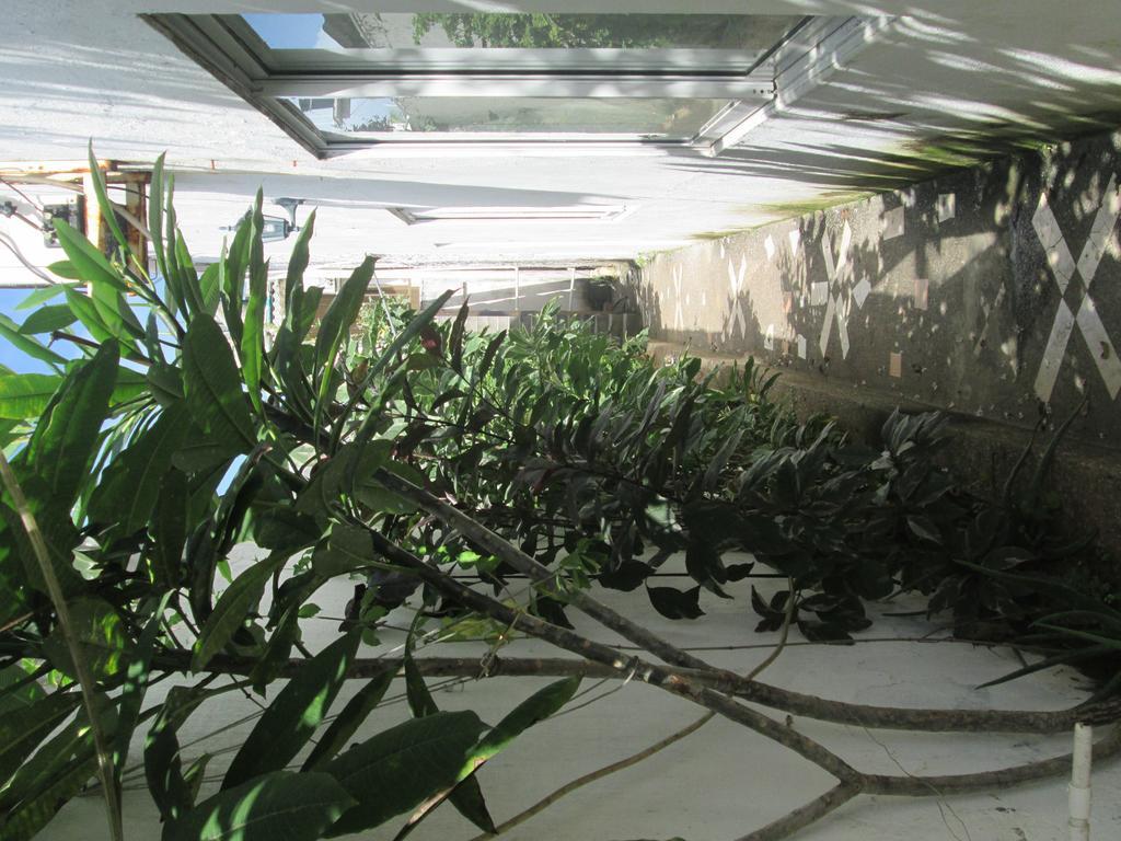 San Andrés Hostal Poseidon Del Mar מראה חיצוני תמונה